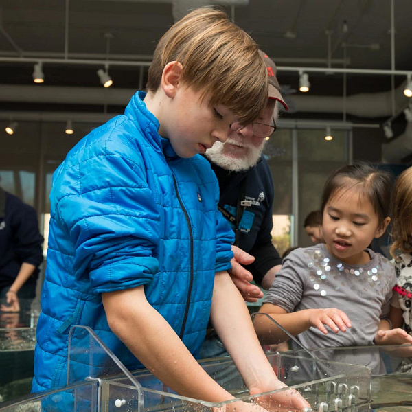  Celebrate Birthdays at Vancouver Aquarium