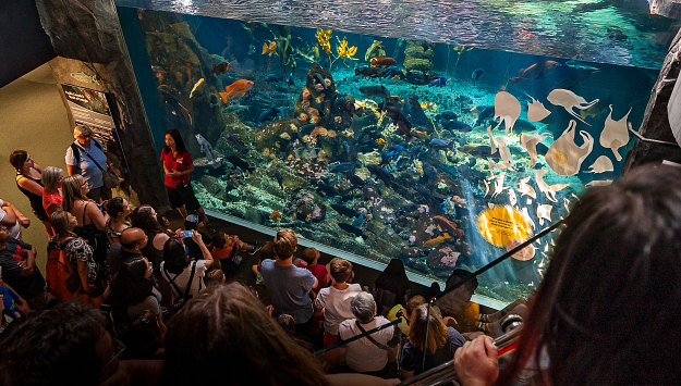  Celebrate Birthdays at Vancouver Aquarium