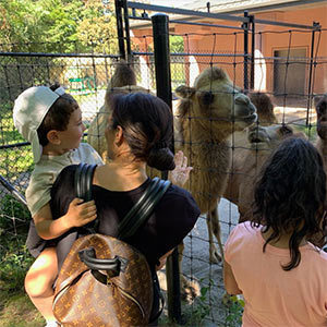 Wildlife Birthday Adventure at the Toronto Zoo