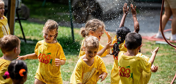 Wildlife Birthday Adventure at the Toronto Zoo