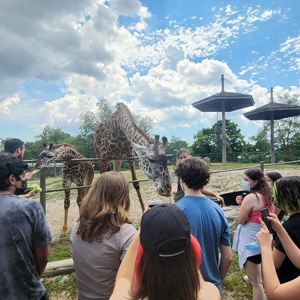 Wildlife Birthday Adventure at the Toronto Zoo