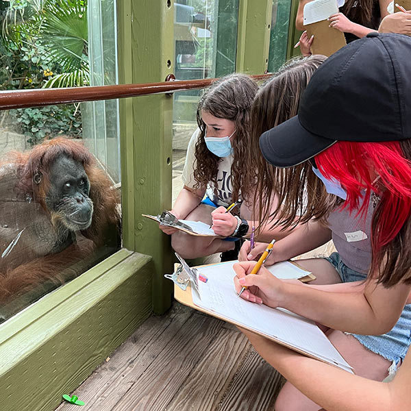 Wildlife Birthday Adventure at the Toronto Zoo